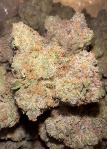 Cannabis and Hash (US 2 US)-image